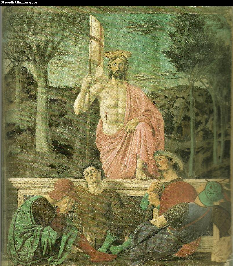 Piero della Francesca sansepolcro, museo civico